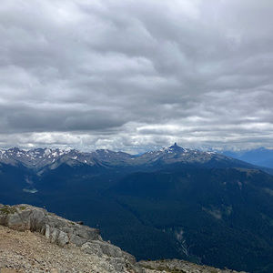 Meet your Posher, Molly